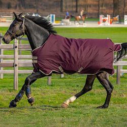 Horseware Amigo Hero Ripstop Turnout (0g Lite) - Fig/Navy/Tan