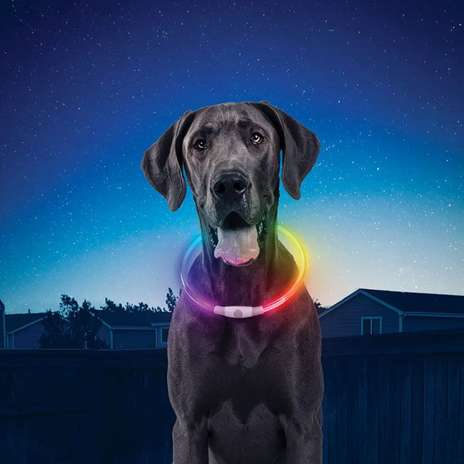 NiteIze NiteHowl Rechargeable LED Safety Necklace for Dogs image number null