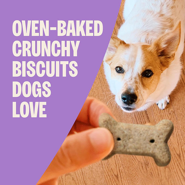 Old Mother Hubbard Oven-Baked Dog Biscuits - Original Mix - Small image number null