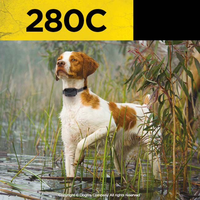 Dogtra 280C Remote Dog Trainer image number null