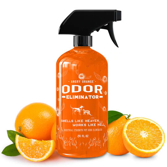 Angry Orange Pet Odor Eliminator Spray 24 oz The Cheshire Horse