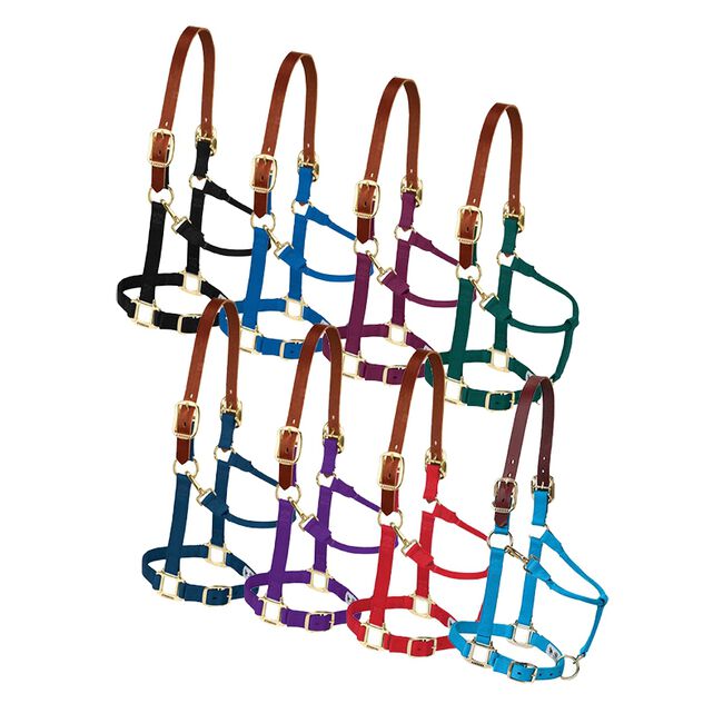 Weaver Breakaway Nylon Halter The Cheshire Horse