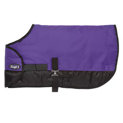 Tough1 600D Adjustable Foal Blanket - Purple