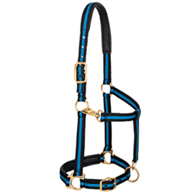 Weaver Padded Adjustable Nylon Halter The Cheshire Horse