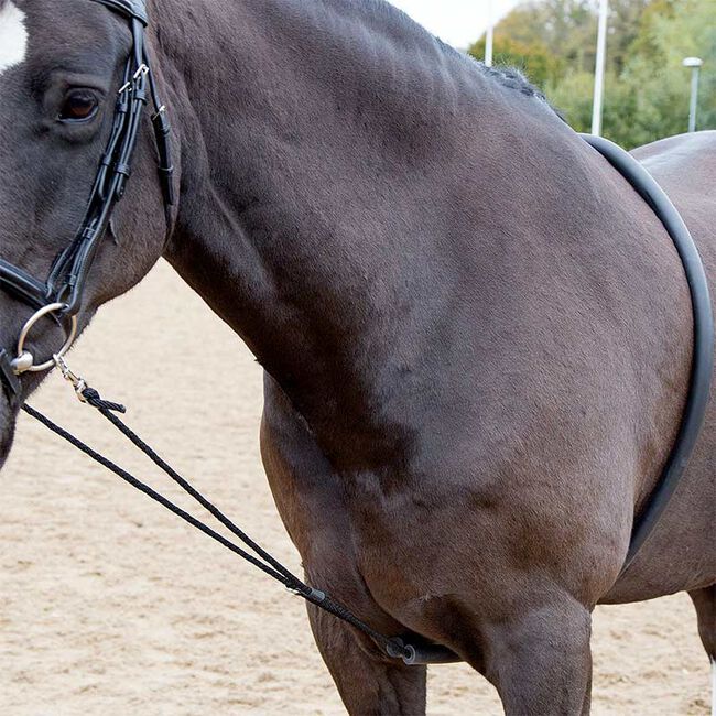 Shires Soft Lunging Aid image number null