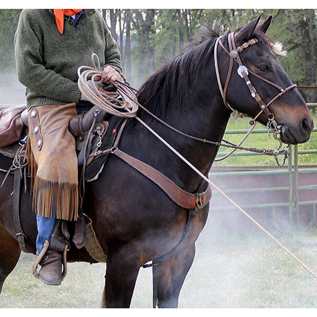 Weaver Working Cowboy Sliding Ear Headstall, 5/8", Solid Brass image number null