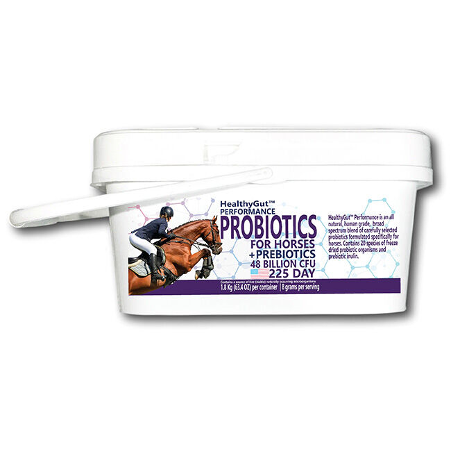 Equa Holistics HealthyGut Probiotics for Horses: Performance image number null