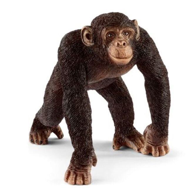 Schleich Male Chimpanzee image number null