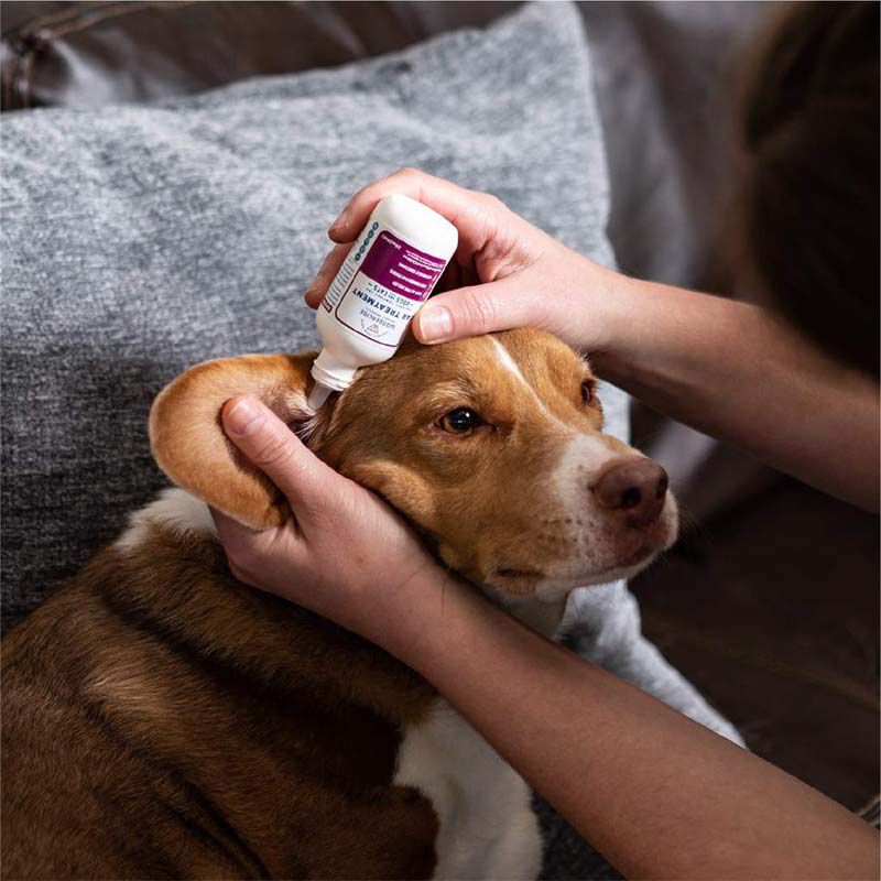 Homemade ear hot sale mite solution