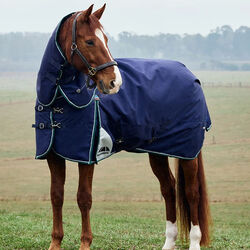 WeatherBeeta ComFiTec Plus Dynamic Turnout Detach-a-Neck (0g Fill) - Navy/Forest Green