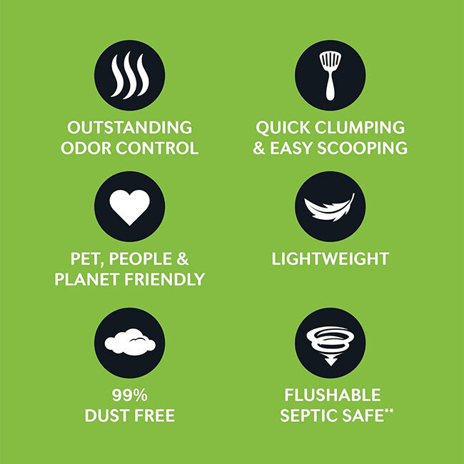 World's Best Cat Litter - Comfort Care Unscented image number null