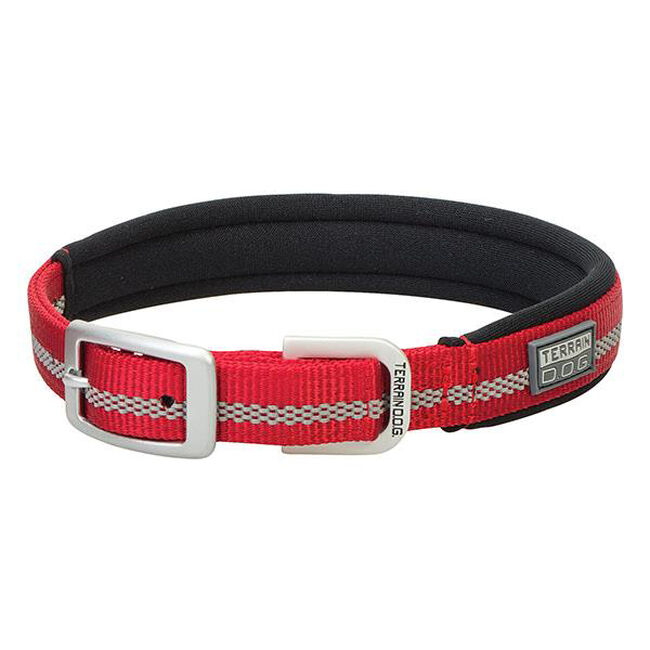 Terrain D.O.G. Reflective Neoprene-Lined Collar - Closeout image number null