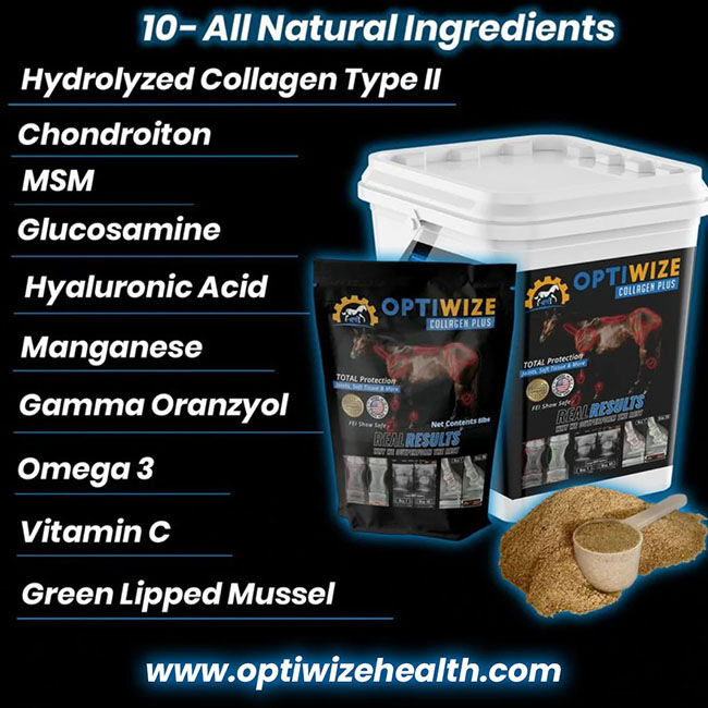 OptiWize Collagen Plus Equine Joint Supplement image number null