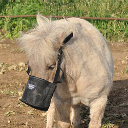 Cashel Feed Rite Bag for the Mini Horse