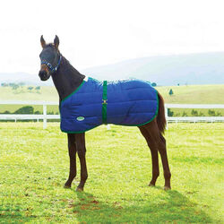WeatherBeeta 420D Foal Turnout Standard Medium