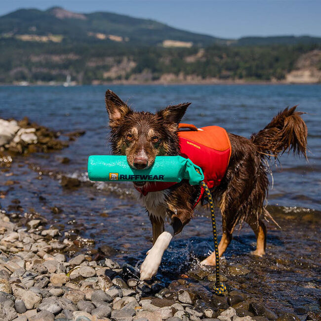 Ruffwear Lunker Dog Toy  image number null