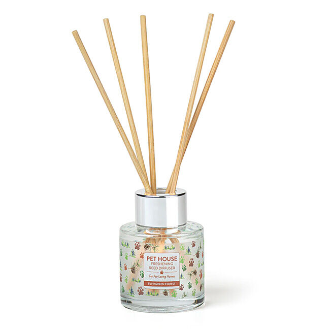 Pet House Candle Reed Diffuser - Evergreen Forest image number null