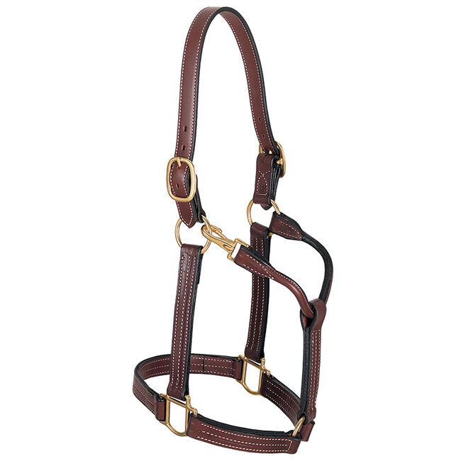 Weaver Equine 1" Thoroughbred Halter with Snap image number null
