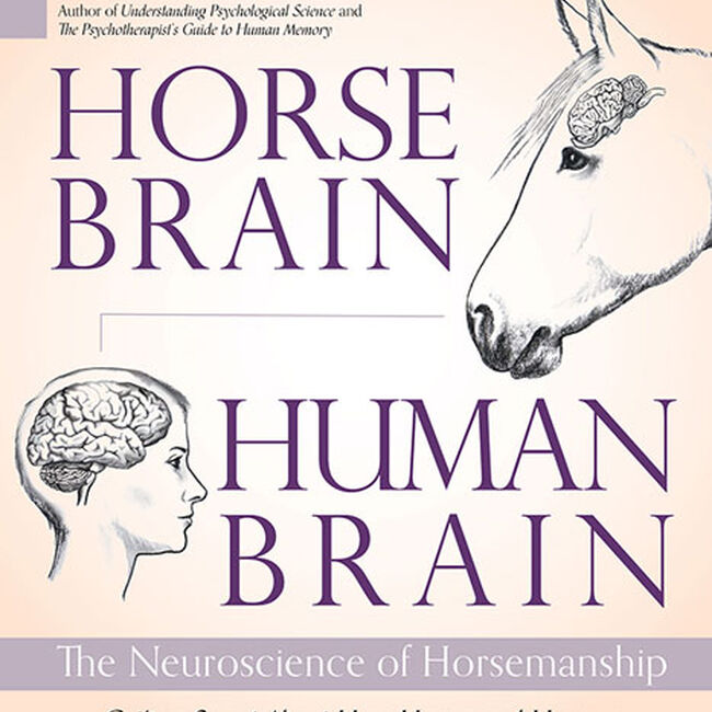 Horse Brain, Human Brain: The Neuroscience of Horsemanship image number null