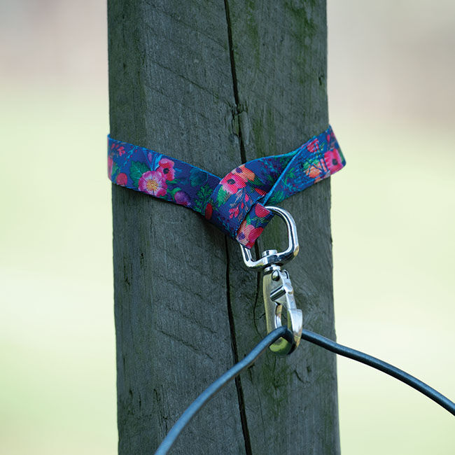 Weaver Equine Nylon Bucket Strap image number null