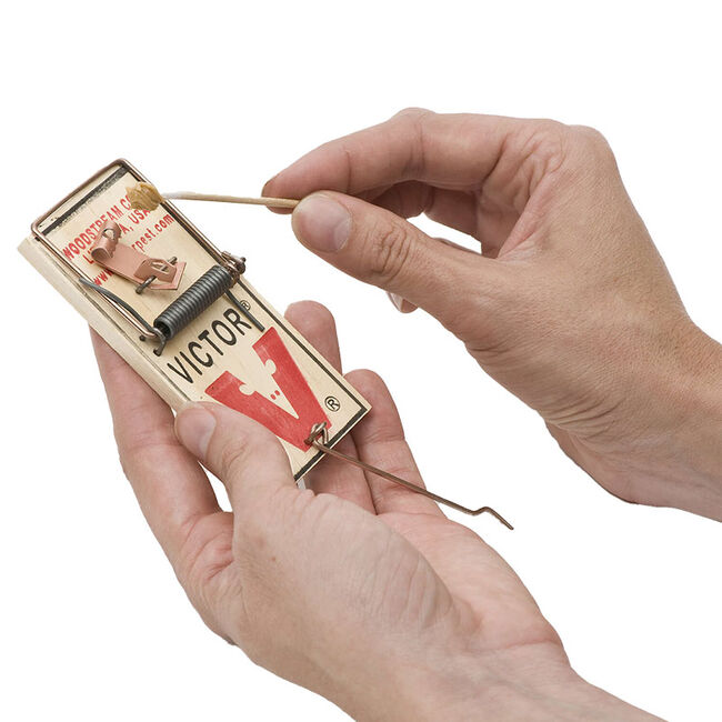 Victor Pest Small Snap Trap for Mice - 2-Pack image number null