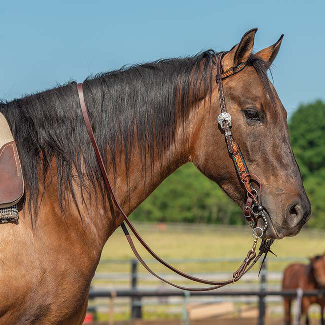 Weaver Equine Turquoise Cross Floral Buckstitch 5/8" Sliding Ear Headstall image number null