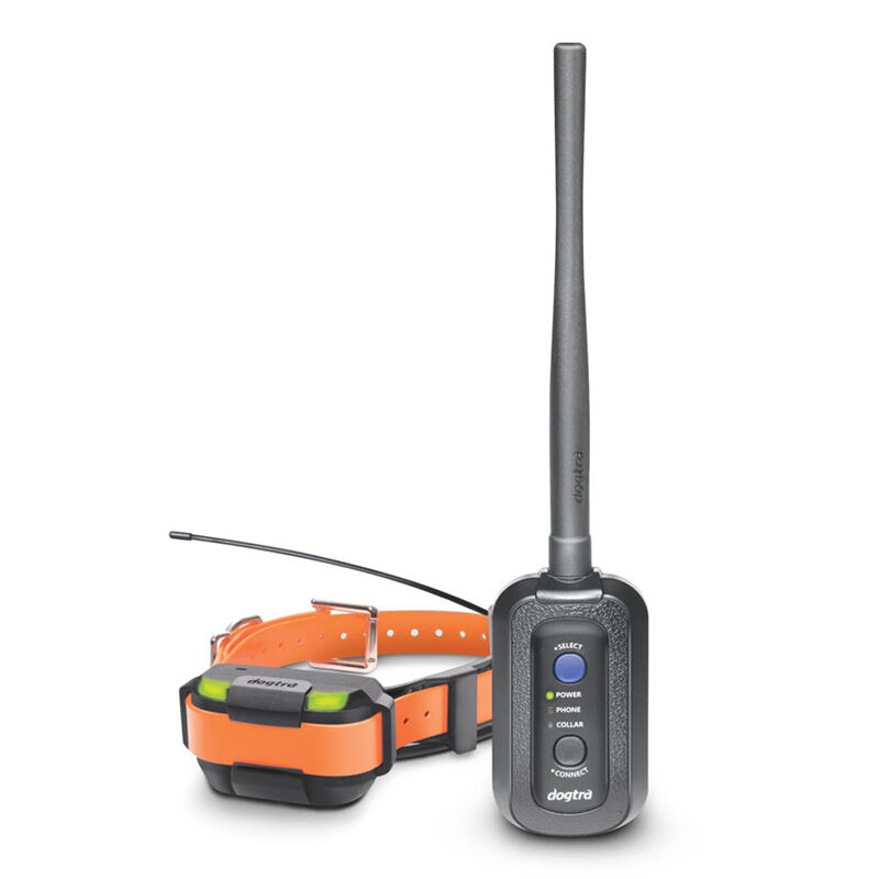 Pathfinder dog tracker top