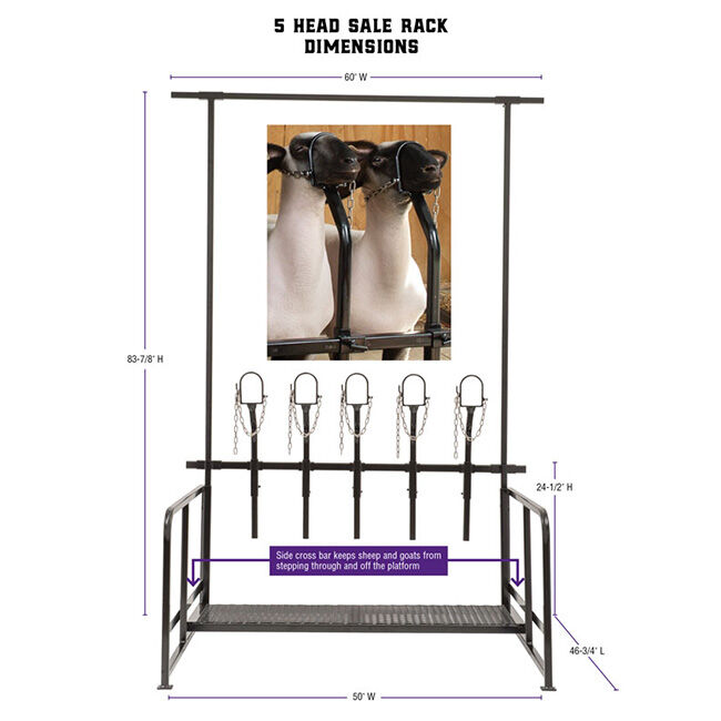 Weaver Livestock Steel 5-Head Sale Rack image number null