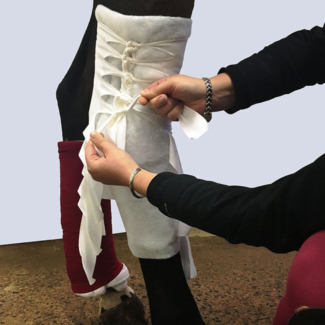 Spitfire Spider Wrap Bandage - 2-Pack image number null