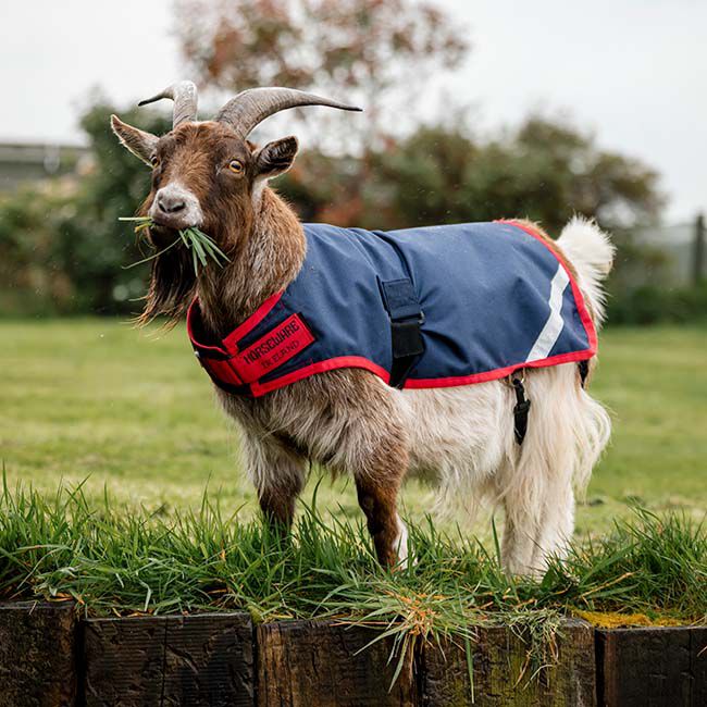 Horseware Goat Coat (200g Medium) - Navy/Red image number null