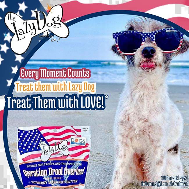 The Lazy Dog Cookie Co. Operation Drool Overload Treats for Dogs - 5 oz image number null