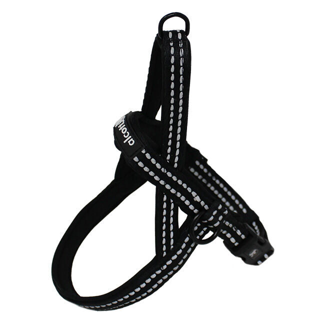 Alcott Norwegian Harness image number null