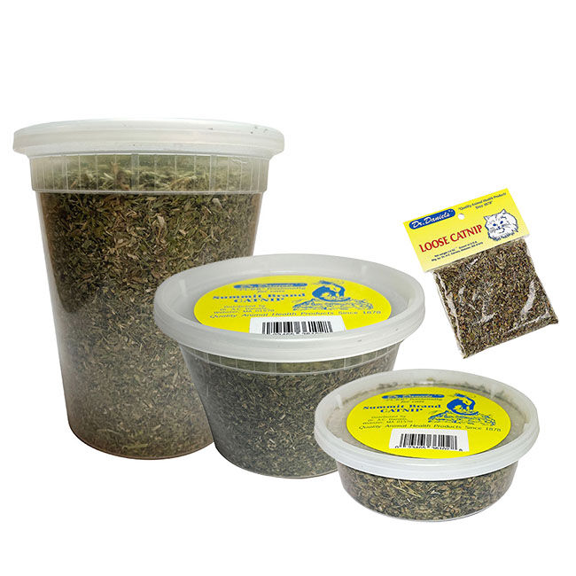 Dr. Daniels Loose Catnip image number null