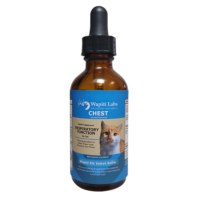 Wapiti Labs Chest Herbal Supplement for Cats - 2 oz image number null