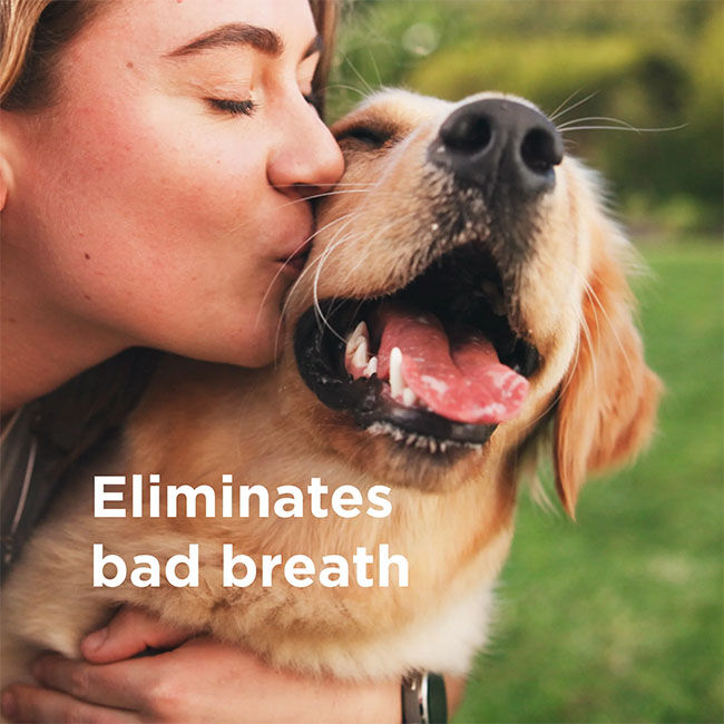 Wondercide RESCUE Oral Spray for Dogs & Cats - 8.5 oz image number null