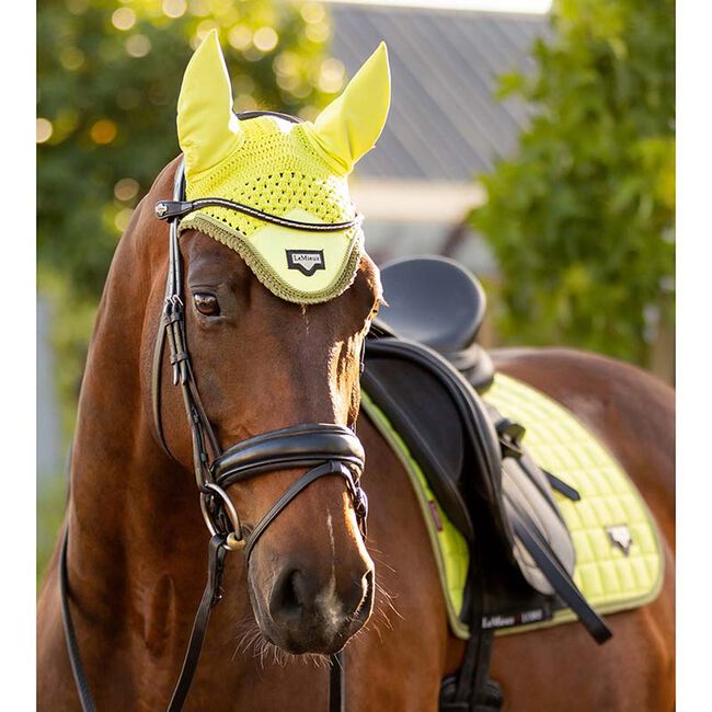 LeMieux Loire Ear Net - Kiwi - Closeout image number null