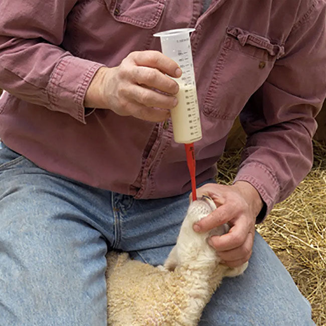 Agri-Pro Lamb & Kid Stomach Feeding Kit image number null