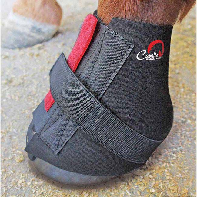 Cavallo Pastern Wraps image number null