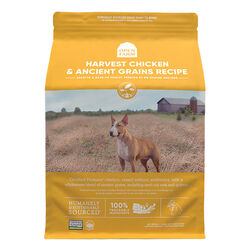 Open Farm Dog Food - Harvest Chicken & Ancient Grains Recipe