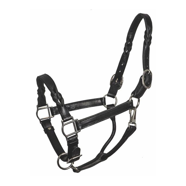 Perri's Twisted Leather Halter Havana image number null