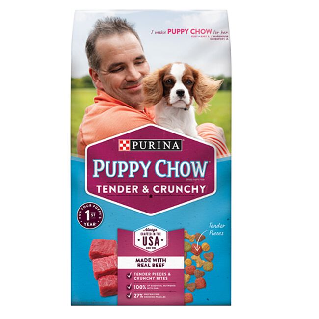 Purina Puppy Chow Healthy Morsels Tender & Crunchy Bites Dry Puppy Foo image number null