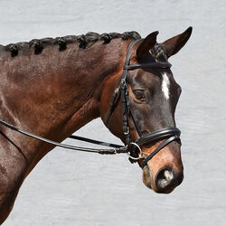 Bobby's English Tack Signature Series Weymouth Padded Dressage Bridle with Crank Noseband