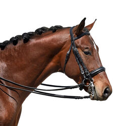 Bobby's Signature Series Weymouth Padded Dressage Bridle with Crank Noseband