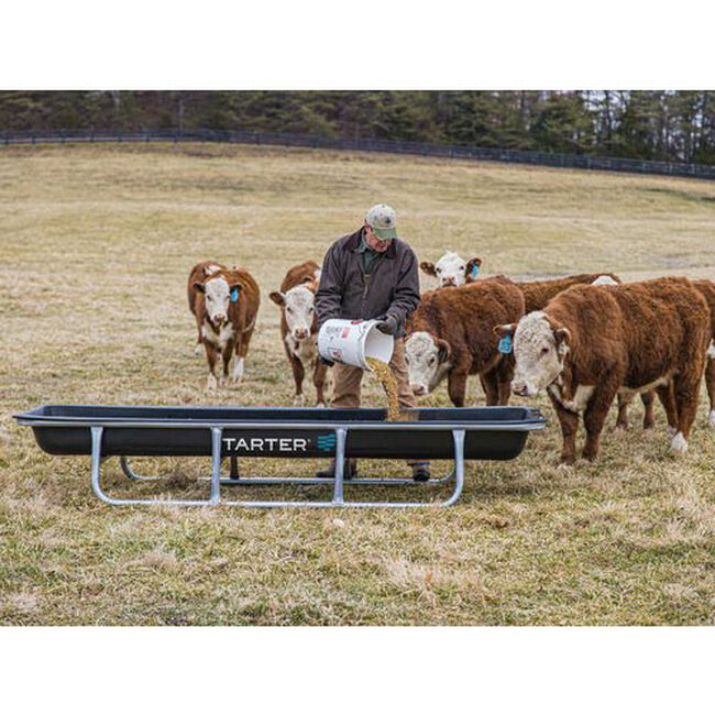 Tarter 10' Economy Bunk Feeder image number null