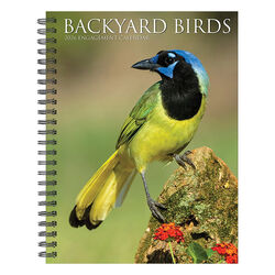 Willow Creek Press 2026 Engagement Calendar - Backyard Birds