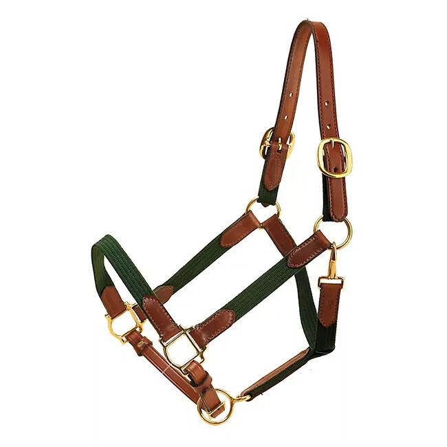 Tory Leather Leather & Cotton Web Halter image number null