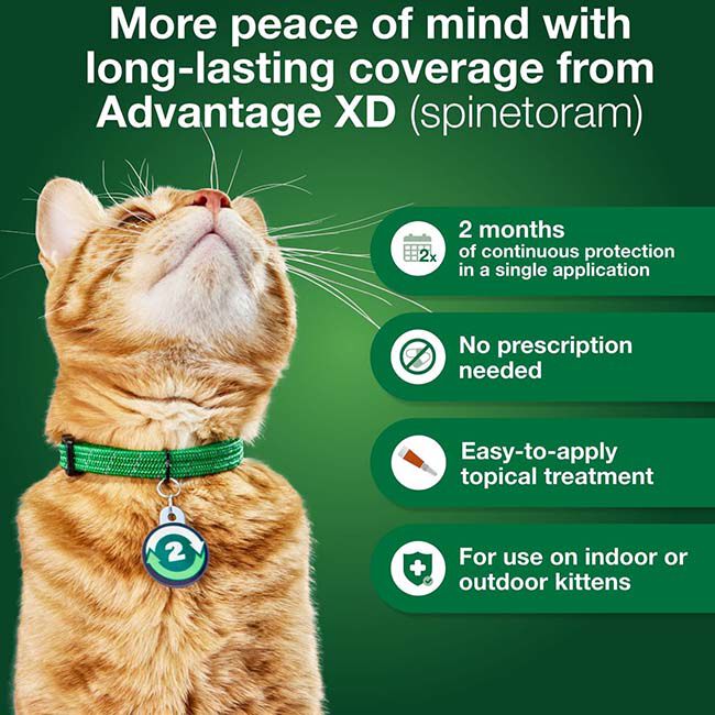 Elanco Advantage XD for Cats image number null