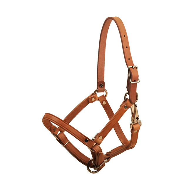 Tory Leather Foal Halter image number null