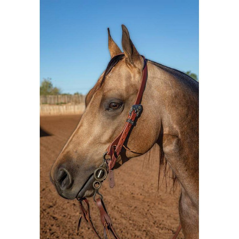 Professional's Choice Ranch 3/4