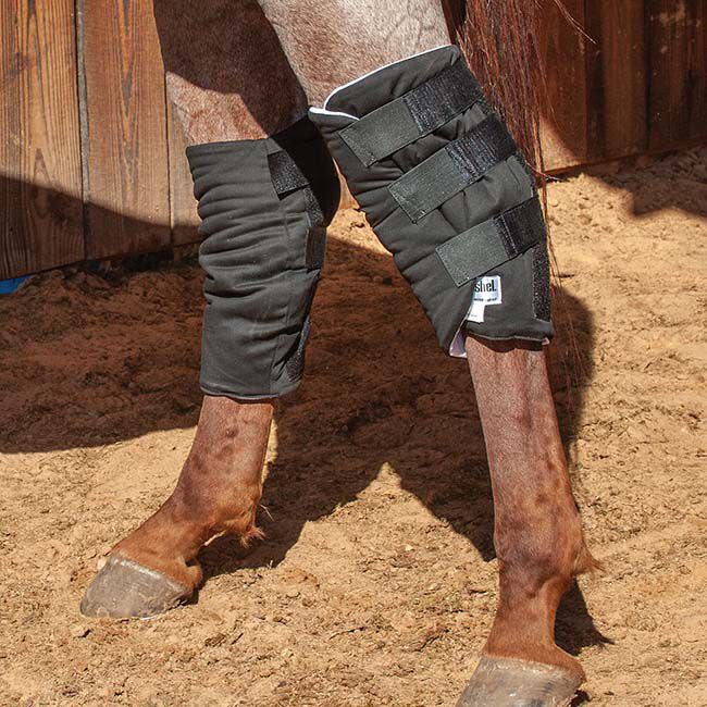 Cashel Boomer's Hock Sock image number null
